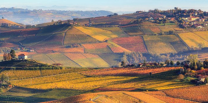 Agriturismo La Locanda Del Nocciolo Novello Cuneo